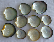 Load image into Gallery viewer, Raw mother-of-pearl (unpolished) from 7.5 to 9 cm sold by kilo
